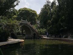 -团结湖公园