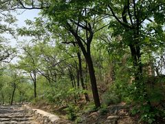 -阳台山自然风景区