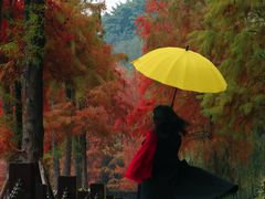 -重庆彩云湖湿地公园
