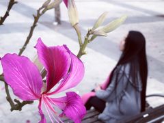 -九龙公园
