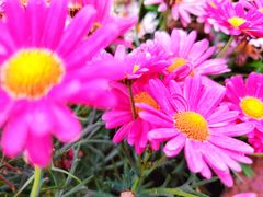 -百伦百货(简阳店)