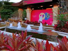 -西双版纳融创皇冠假日度假酒店