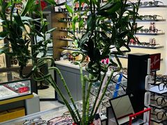-华彬眼镜专业渐进配镜(潘家园店)