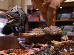 -国家自然博物馆