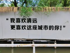 -芭厘农庄老字号·清远鸡