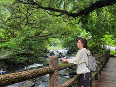 -广州市石门国家森林公园
