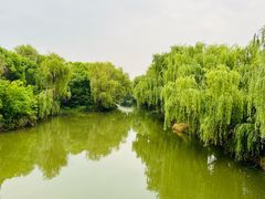 -同里国家湿地公园