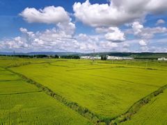 -六鼎山文化旅游区