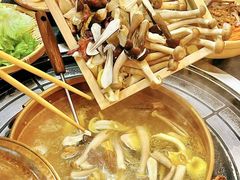 -阿山卓·野生菌火锅·纳西火塘烤肉