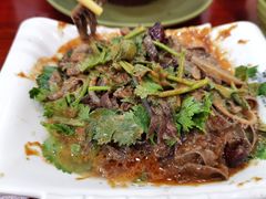 -美玲拉面(鞍山西道店)