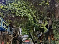 -西关84·History·Art·Cafe