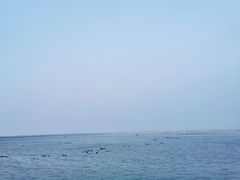 -南汇嘴观海公园