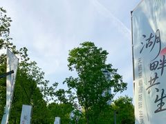 -天鹅湖体育公园