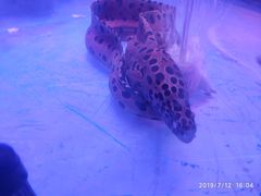 -欧亚达商业广场(红桥店)