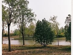 -东郊湿地公园