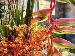 -FEI FEI FLOWER鲜花店·气球派对·宝宝宴布置(虹口德必运动Loft店)