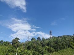 -深圳仙湖植物园