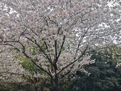-堤角公园