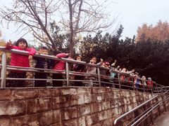 -苏州河梦清园环保主题公园