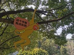 -九龙潭景区