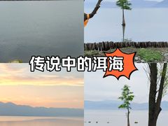 -大理洱海