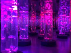 -梦幻海洋王国(吾悦广场张家港店)