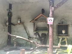 -吉隆坡雀鸟公园