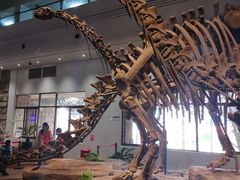 -自贡恐龙博物馆