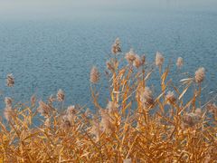-野鸭湖国家湿地公园