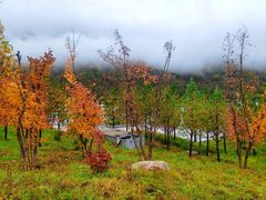 -五台山风景名胜区