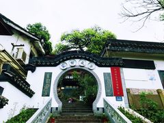 -龙井村