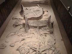 -北京大葆台遗址博物馆