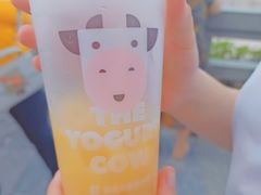 -一只酸奶牛(八一路店)