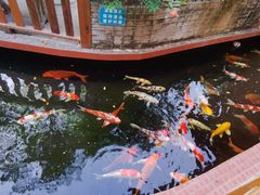-侠成水上农庄(工业大道店)
