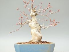 -情妹耙泥鳅·江湖川菜(科华店)