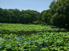 android_upload_pic-紫竹院公园冰场