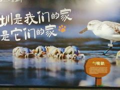 -香梅(地铁站)