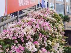 -烈士陵园(地铁站)