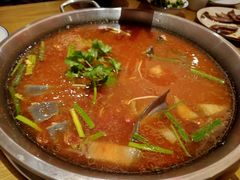 -新凯里酸汤鱼(飞山街店)