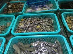 竹蛏-渔傅·蓝海岸霞浦海鲜(正祥店)