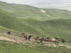 -新疆那拉提国家旅游度假区