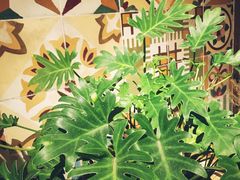 -时光花园(白鹭洲店)