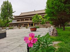 -张掖大佛寺景区