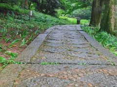 -庐山风景区花径公园