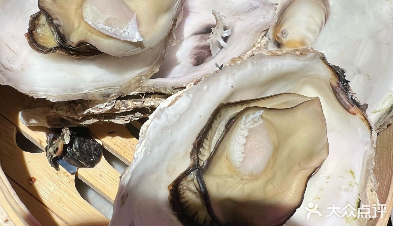活鳗、生蚝、和牛…火炉火升级了