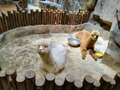 -宝燕乐园(闵行旗舰店)