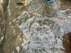 -将军关探险漂流