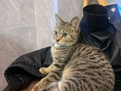 -吉友粥底火锅(方斜路店)