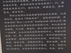 -阳台山自然风景区