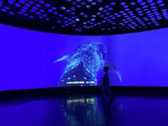 -同济大学四平路校区深海探索馆
